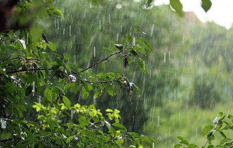 Сегодня и завтра синоптики прогнозируют сильный дождь в сочетании с грозой и шквалистым ветром